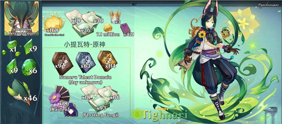 原神提纳里阵容推荐