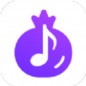 石榴音乐下载app  v5.8.0