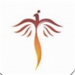 凤凰天使tsks韩剧社APP手机安卓版