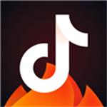 抖音火山版app  v10.4.5    