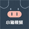 小猪视频解锁版app无限次数下载  v1.0.1