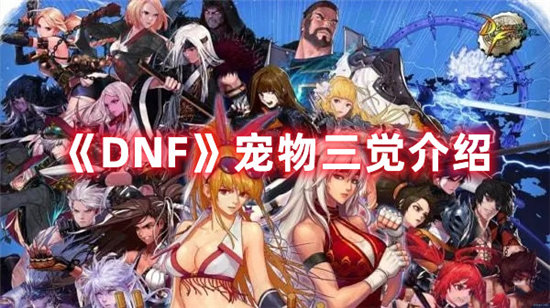 《DNF》宠物三觉介绍