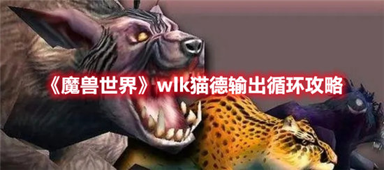 《魔兽世界》wlk猫德输出循环攻略