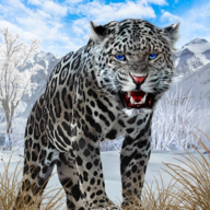 野生雪豹模拟器游戏