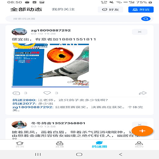 中鸽网直播app下载