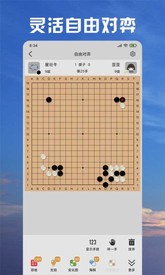 星阵围棋手机版